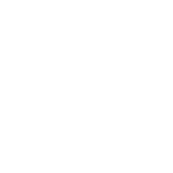 Partner of the Year 2019 award logo