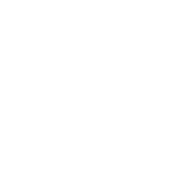 Partner of the Year 2019 award logo Partner of the Year 2019 award logo
